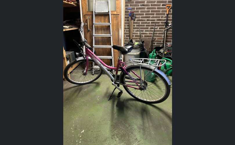 Tunturi shine 7-vaihteinen 24 tuumainen-kuva-1